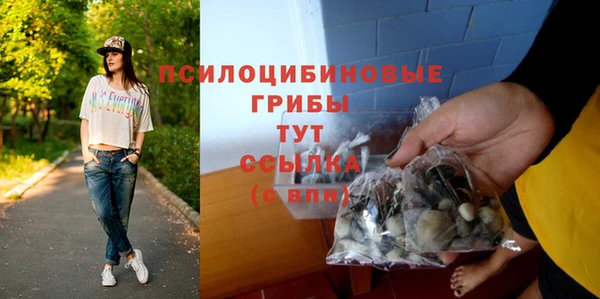 герыч Алексин